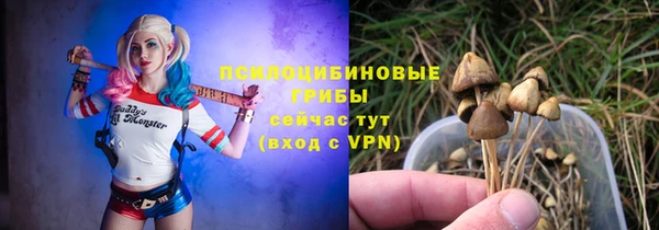 шишки Новозыбков