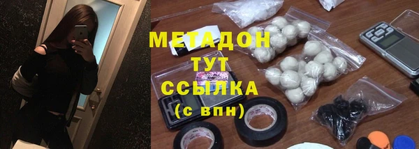 шишки Новозыбков
