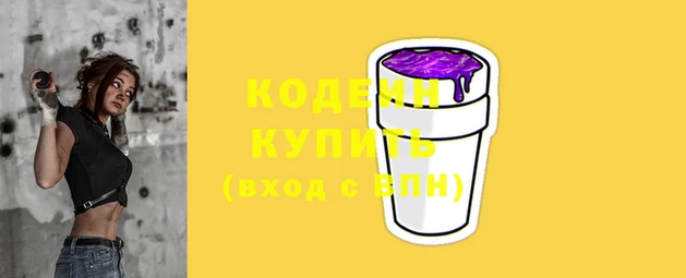 шишки Новозыбков