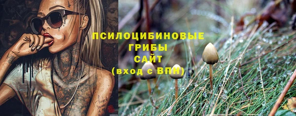 прущие крисы Новодвинск
