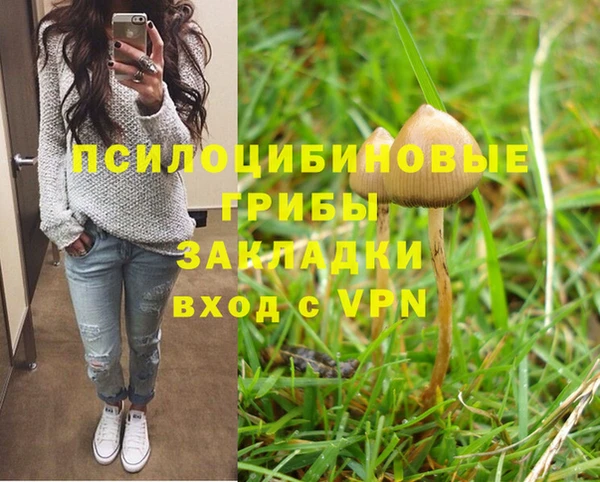 прущие крисы Новодвинск