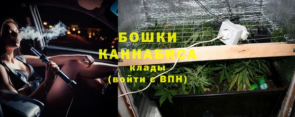 шишки Новозыбков