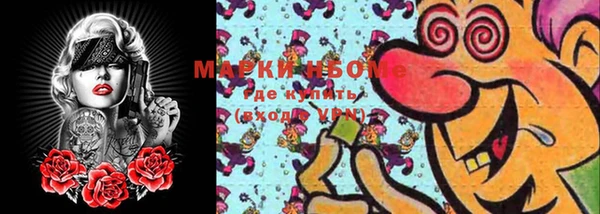 шишки Новозыбков