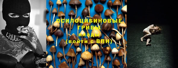 ешки Новокубанск