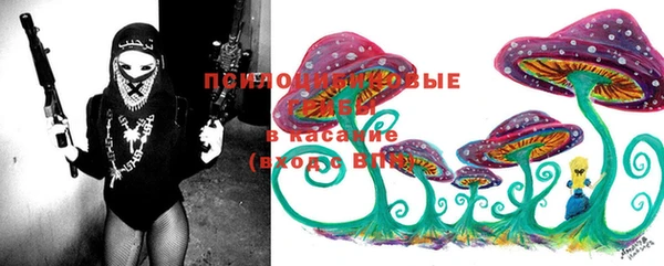 прущие крисы Новодвинск