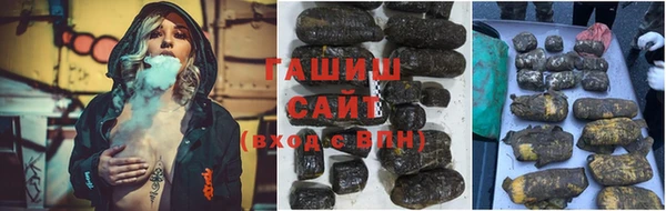 шишки Новозыбков