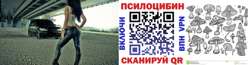 Галлюциногенные грибы Psilocybine cubensis  Рыльск 